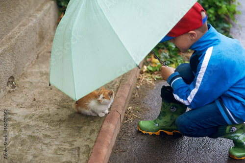 the child taking care of a kitten on the street , an umbrella sheltering him from the rain .