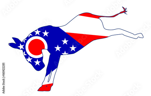 Ohio Democrat Donkey Flag
