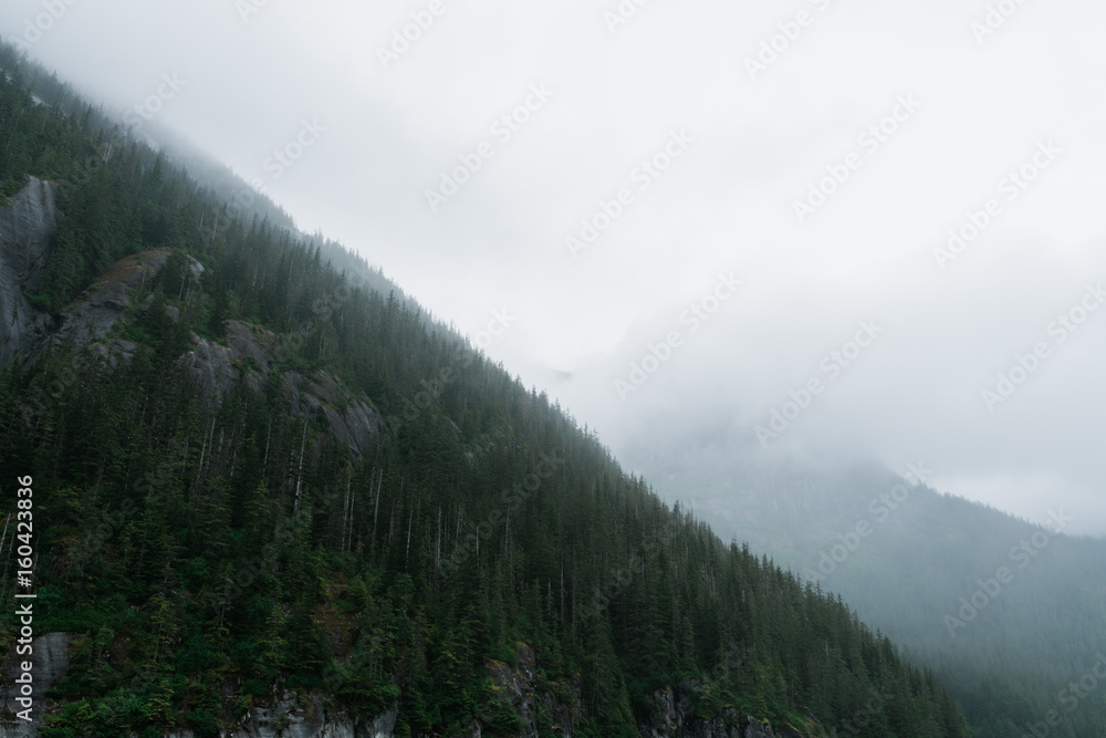 Foggy Mountainside