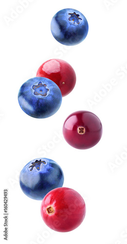 Isolated flying berries. Falling cranberry and blueberry fruits isolated on white background with clipping path