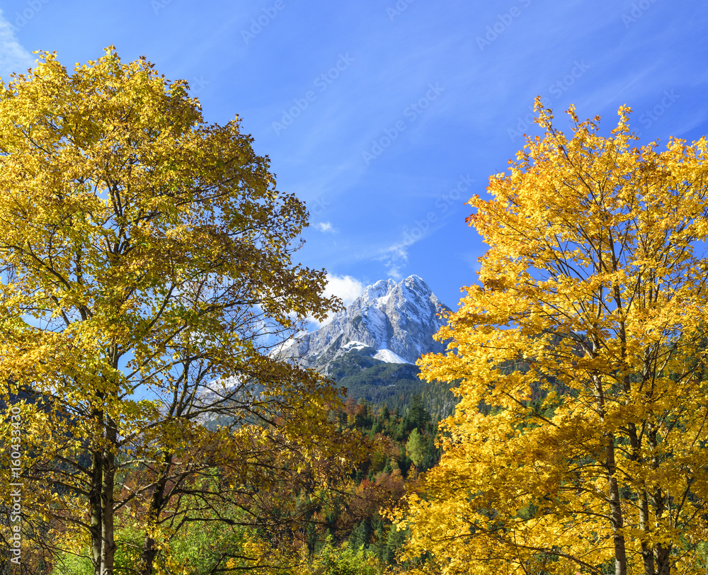 Fototapeta premium goldener Oktober in den bayrischen Alpen