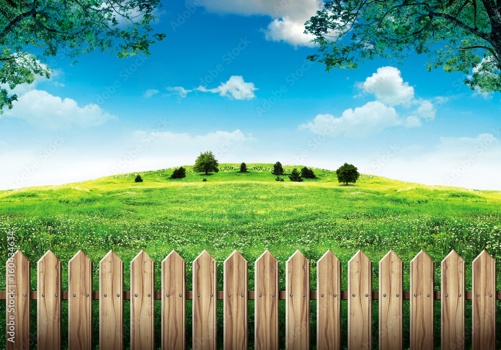 Obraz premium Wooden fence in green meadow