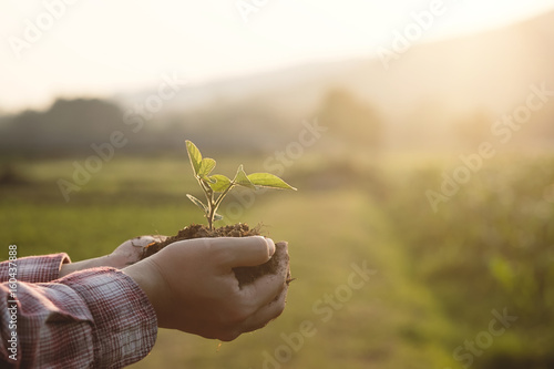 Billede på lærred Soil cultivated dirt, earth, ground, agriculture Field land background Nurturing baby plant on hand, Organic gardening, agriculture