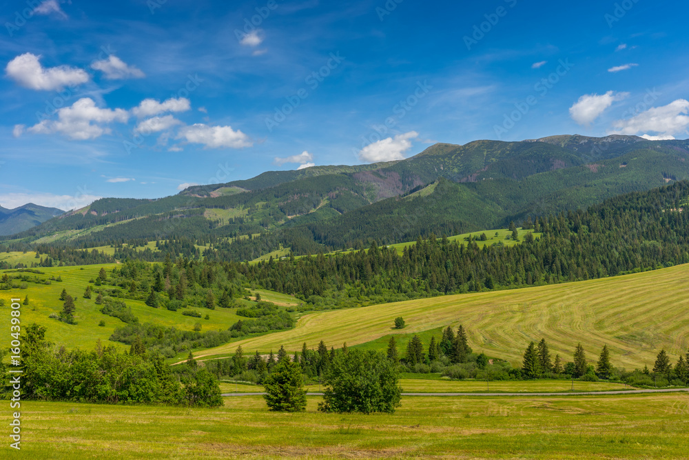 Tatra mountains landscape; Slovakia