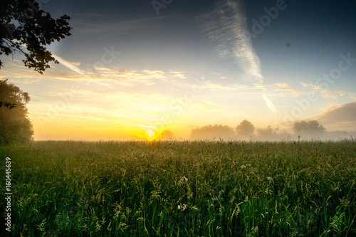 Sunrise over a cereal field with fog