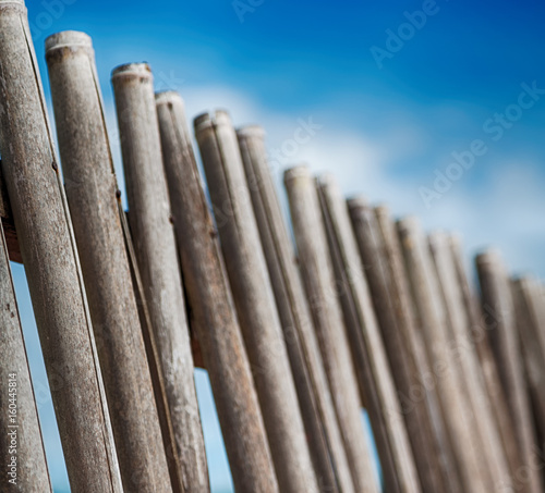 in a cloudy sky lots bamboo stick for natural fence