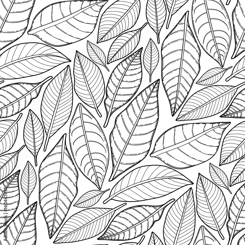 Fototapeta Graphic leaves pattern