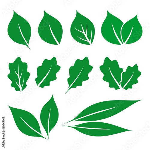 Isolated Green Leaves. Set on a White Background.