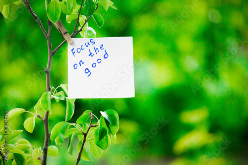 Motivating phrase focus on the good. On a green background on a branch is a white paper with a motivating phrase.