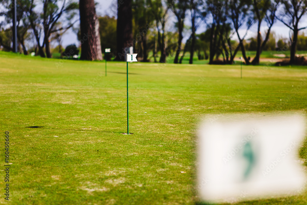 Obraz premium close up of flag mark in hole on golf field
