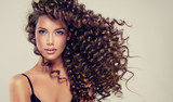Brunette girl with long and shiny curly hair . Beautiful model with wavy hairstyle . 