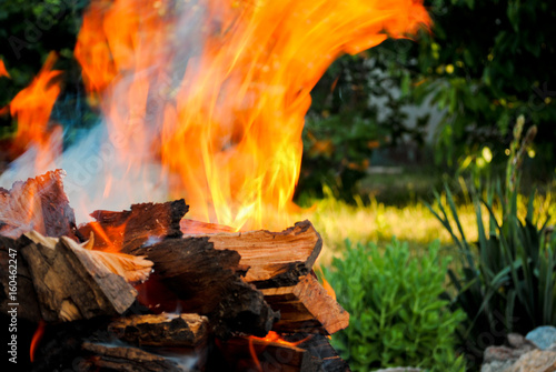 Bright orange red fire bonfire on wooden logs of wood in a barbecue on a background of green grass on a hot summer day barbecue kebab