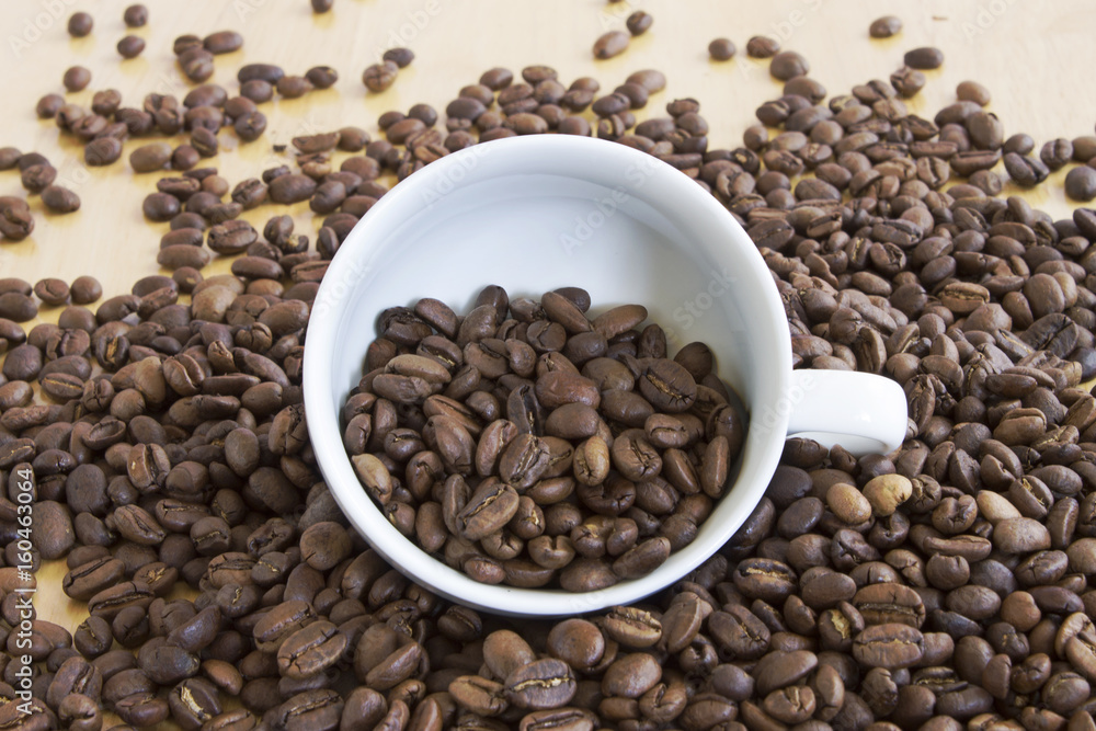 コーヒー豆 コーヒー豆