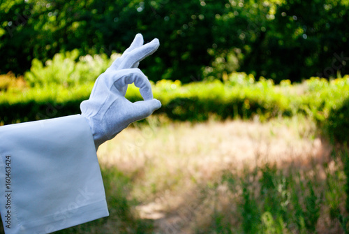 The waiter's hand in a white glove and with a white napkin shows with a finger ok on the left on a green background of trees and bushes on a blurred background