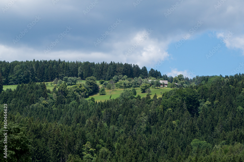 Rural austrian scenery on a summer's day