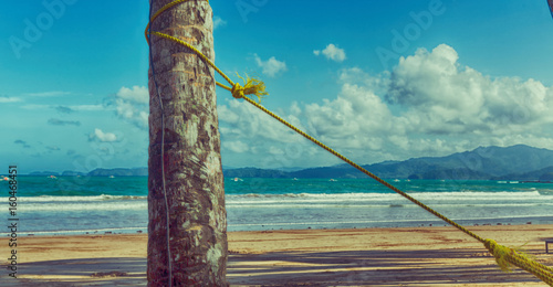  a rope from an hammock near the ocean shore