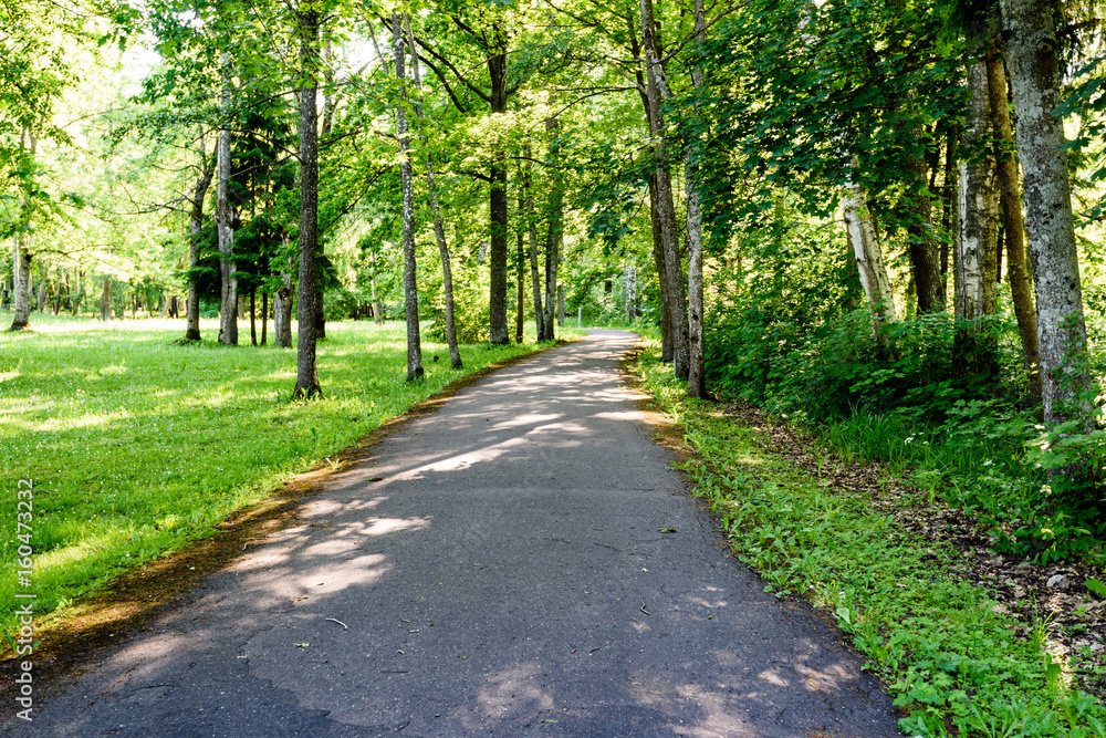 green park with walkways green park with walkways