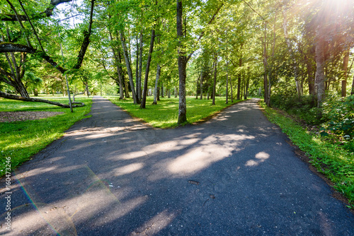Fototapeta Naklejka Na Ścianę i Meble -  green park with walkways
