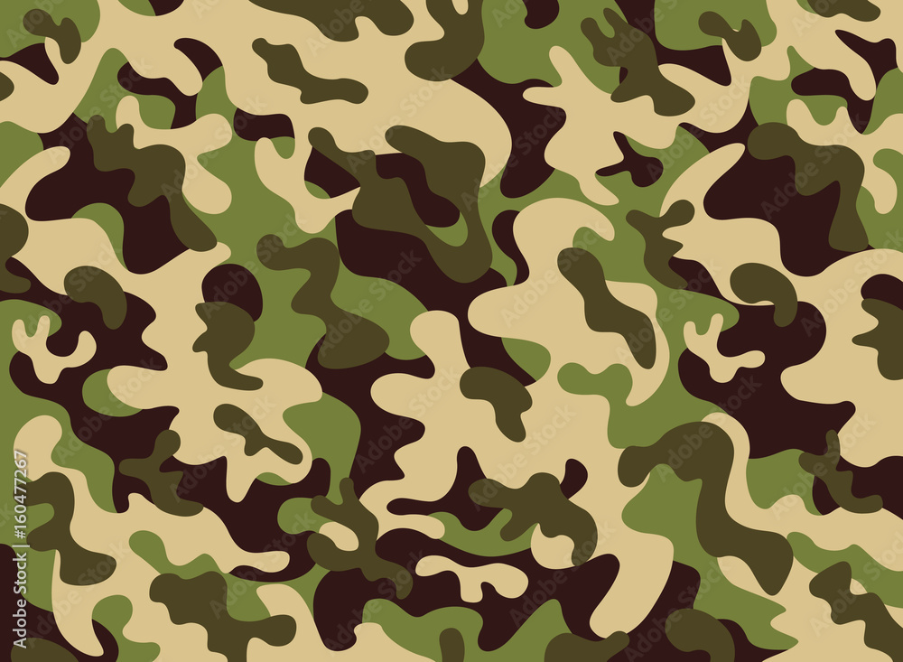 Camouflage pattern Camouflage pattern