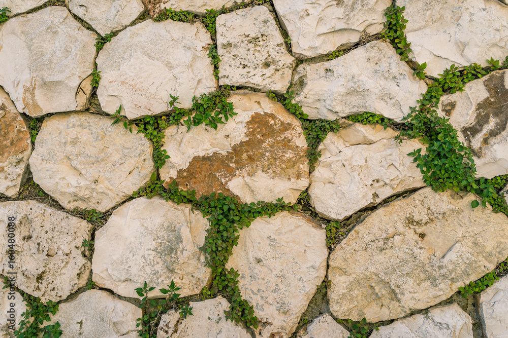 Obraz premium aged stone brick wall with green ivy leaf in Matera, Italy using as texture background
