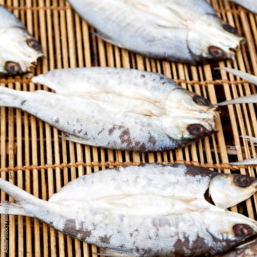  lots of fish salted and dry preparation for the market photo