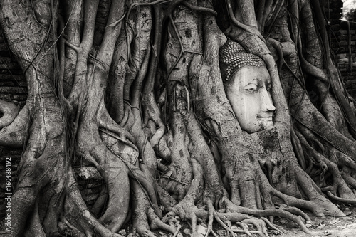 Buddha