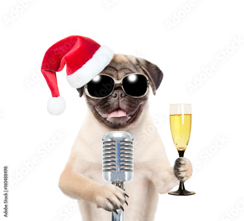 Dog in red christmas hat and sunglasses holding retro microphone and glass of champagne. Isolated on white background © Ermolaev Alexandr