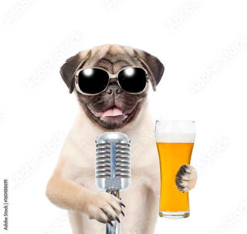 Funny puppy in sunglasses holding light beer and retro microphone. isolated on white background © Ermolaev Alexandr