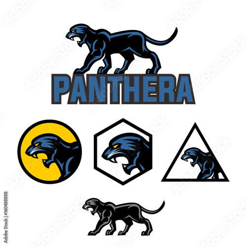 panther, strong and brave big cat, isolated