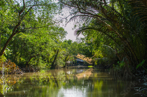 Small canal in Mekong Delta.