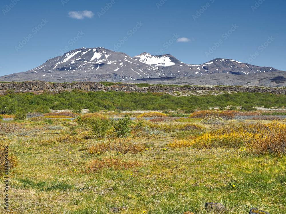 Summer Landscape in Iceland