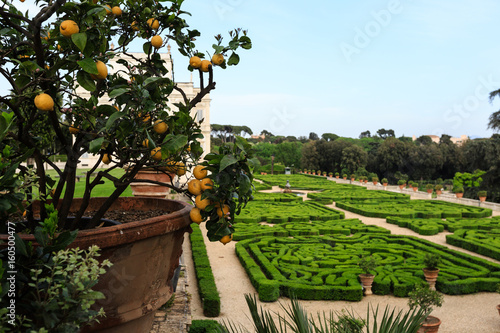 Photography Villa Doria Pamphili at the Via Aurelia Antica, Rome, Italy