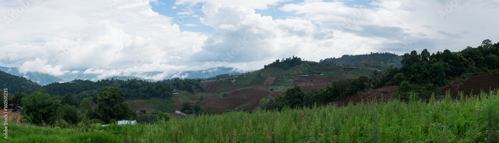 Agricultural area, MON CHAM, Chiangmai, Thailand. (Panorama)