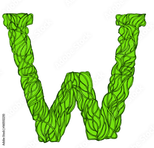 Root font, type. Green herbal vector letters. Letter W.
