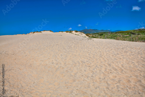 Sand and sky and summer day