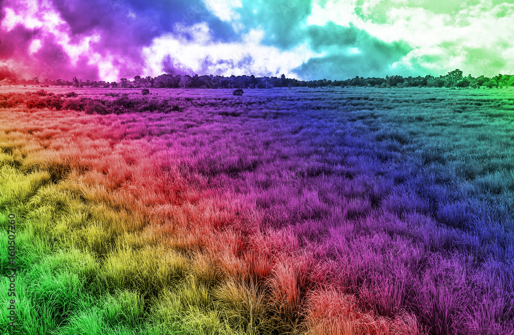 Beautiful creative bright colorful, multicolor landscape abstract background with sky and field.