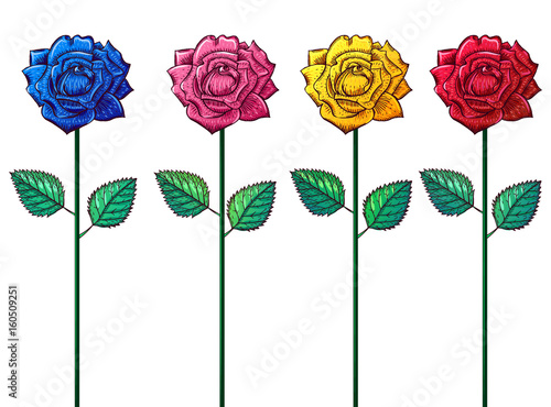 Multicolored roses on long stems, engraving