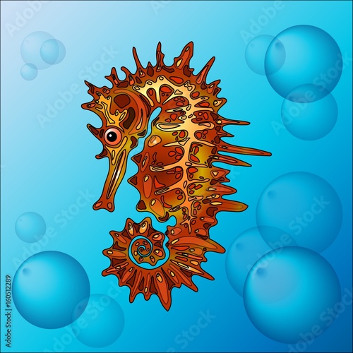 .A vector seahorse for illustration