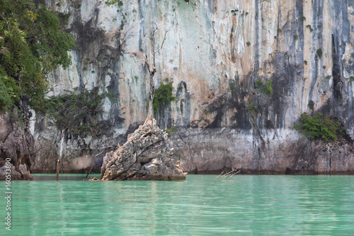 Dead tree on an island against a vertical cliff face