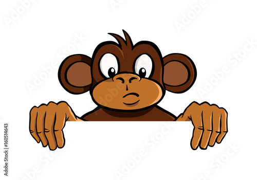 Curious monkey holding up an invisible frame