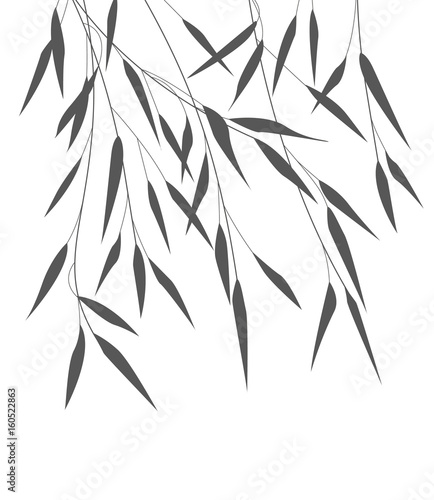 Vector bamboo leaves