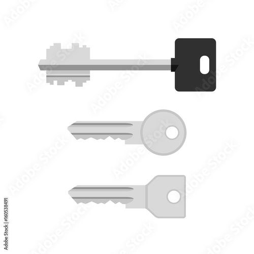 Keys flat icon. © ilyabolotov