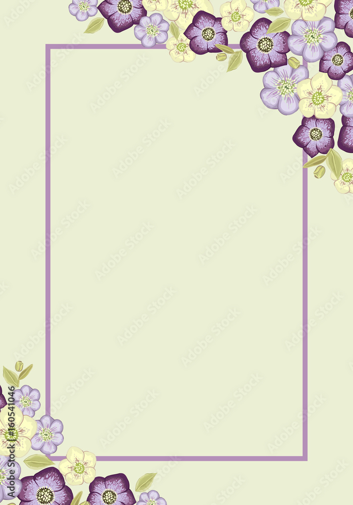 Floral frame. Rectangular frame with spring flowers. Anemone flower.