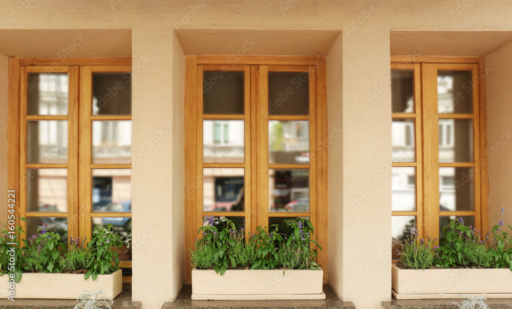 Modern wooden windows decorated with flowers