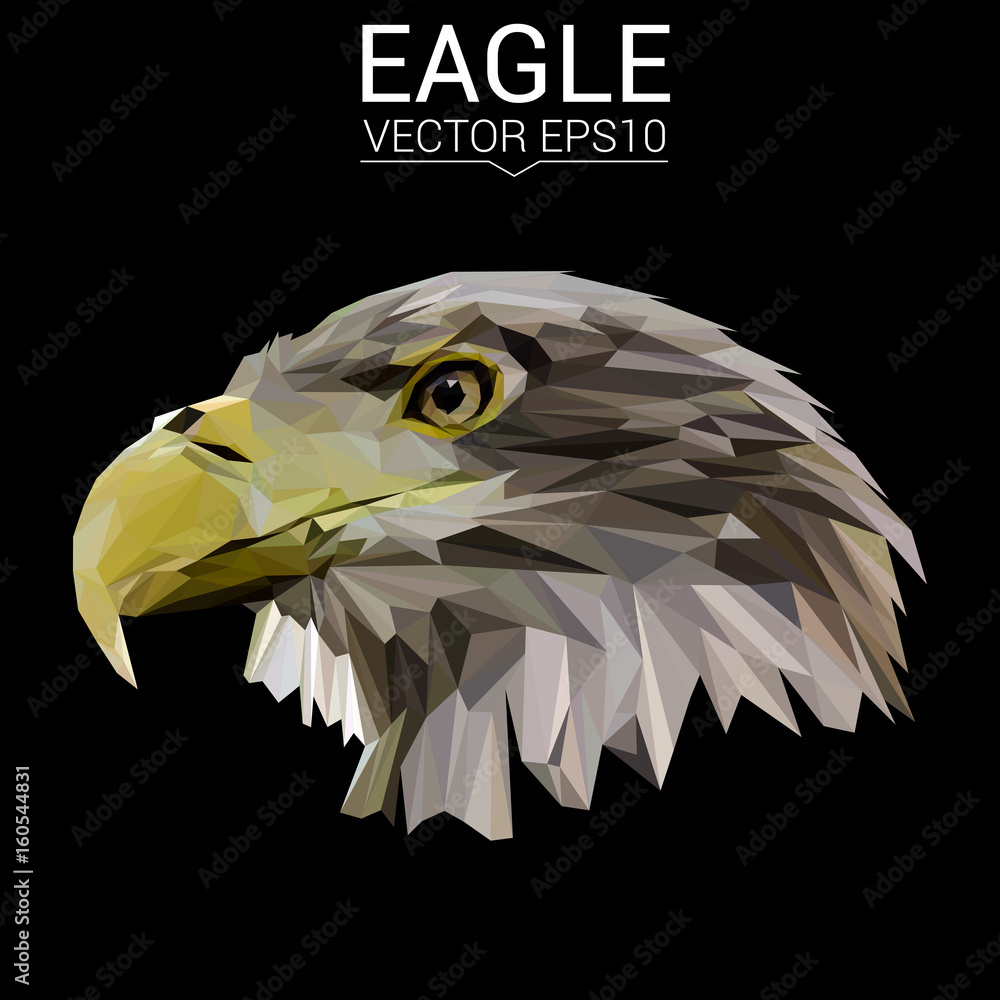 Fototapeta premium Eagle low poly design. Triangle vector illustration.