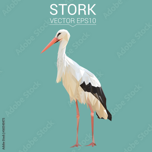 Stork bird animal low poly design. Triangle vector illustration.