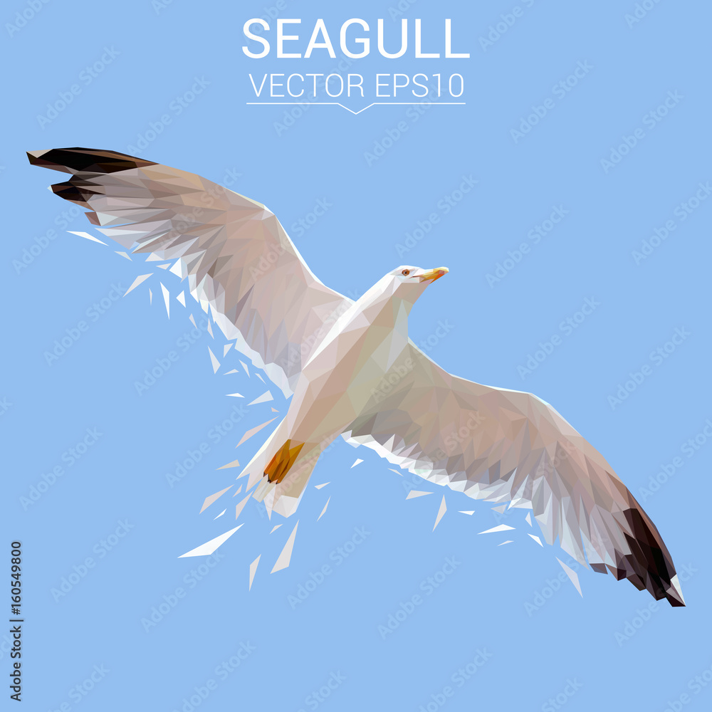 Fototapeta premium Seagull bird low poly design. Triangle vector illustration.