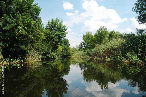 Summer floodplain river with jungles of reeds and trees.