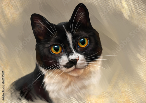 Obraz na płótnie Cat