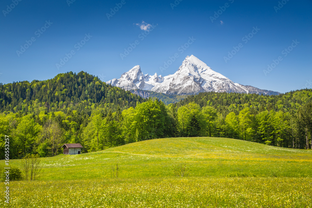 Idyllic summer landscape in the Alps with blooming meadows on a sunny day